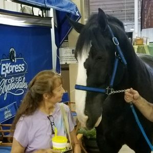 Meet your Posher, Judy